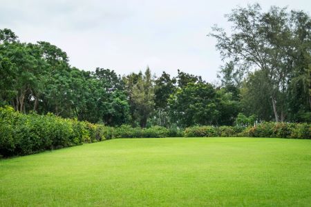 création jardin près de Dunkerque