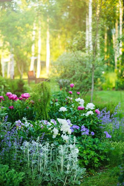 Entretien de jardin près de Dunkerque