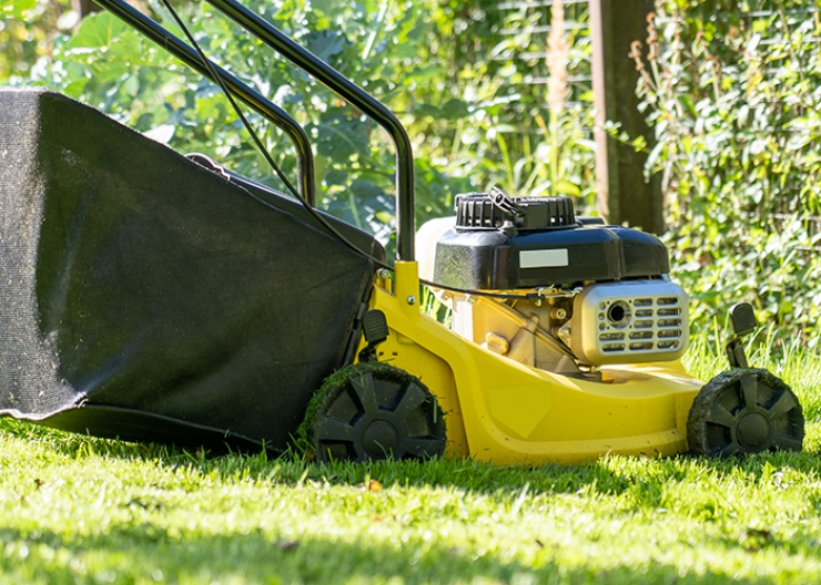 Entretien de votre jardin près de Dunkerque